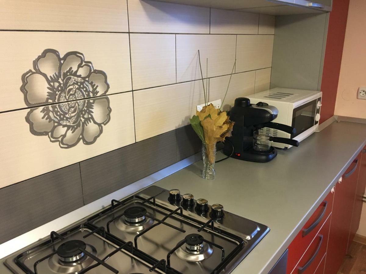 Appartement Apartament Antonia à Tîrgu Ocna Extérieur photo